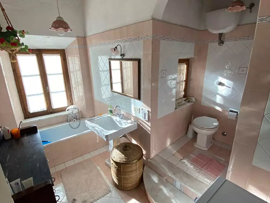 Immagine 19 di Appartamento in vendita  a Monteverdi Marittimo