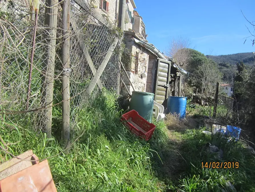 Immagine 24 di Appartamento in vendita  a Monteverdi Marittimo