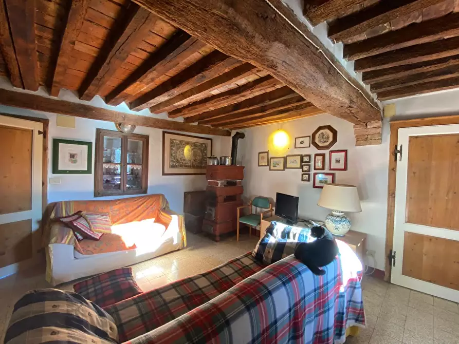 Immagine 2 di Appartamento in vendita  a Monteverdi Marittimo