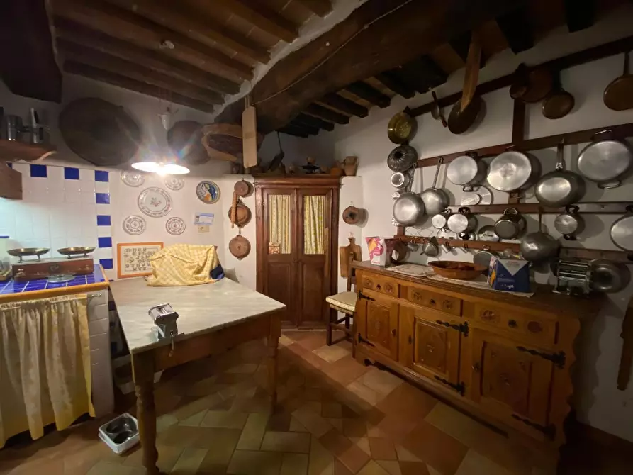 Immagine 11 di Appartamento in vendita  a Monteverdi Marittimo