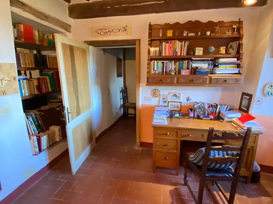 Immagine 4 di Appartamento in vendita  a Monteverdi Marittimo