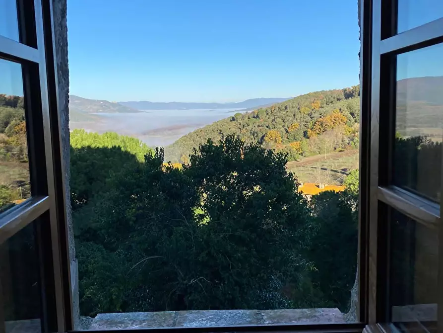 Immagine 21 di Appartamento in vendita  a Monteverdi Marittimo