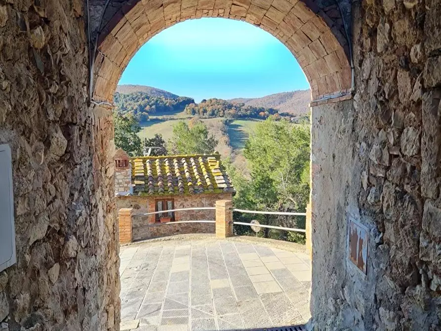 Immagine 27 di Appartamento in vendita  a Monteverdi Marittimo