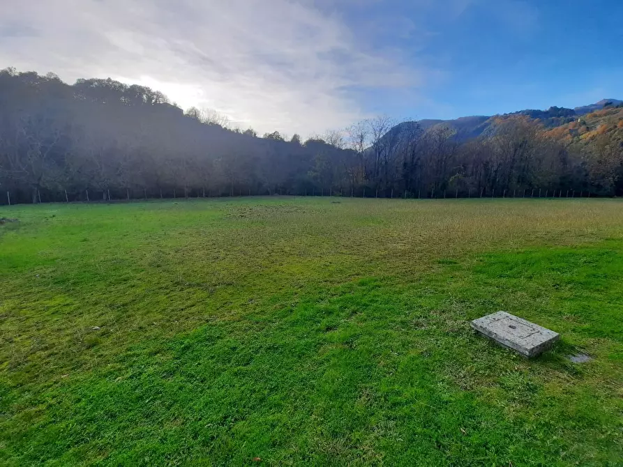 Immagine 6 di Attività artigianale in vendita  a Borgo A Mozzano