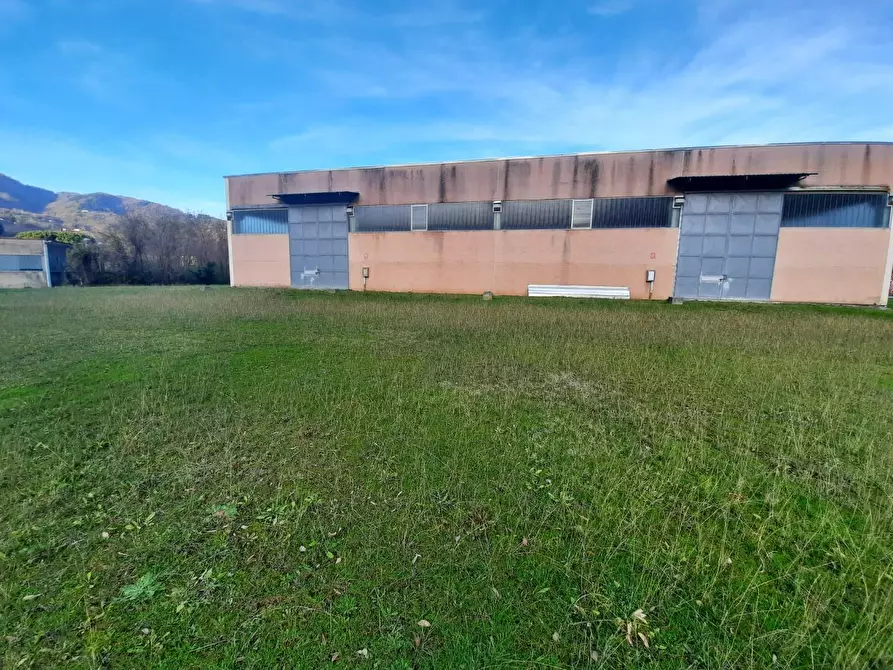 Immagine 4 di Attività artigianale in vendita  a Borgo A Mozzano