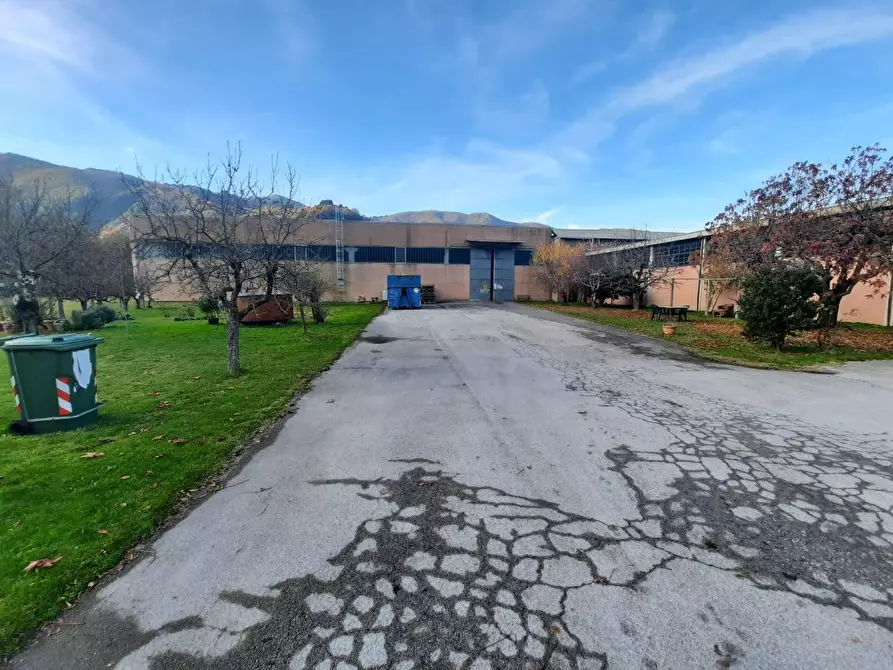 Immagine 13 di Attività artigianale in vendita  a Borgo A Mozzano