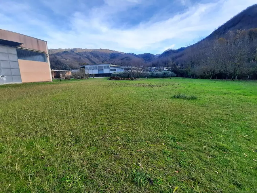 Immagine 5 di Attività artigianale in vendita  a Borgo A Mozzano