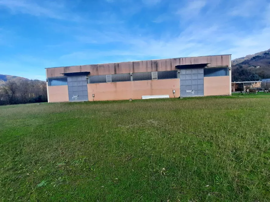 Immagine 3 di Attività artigianale in vendita  a Borgo A Mozzano