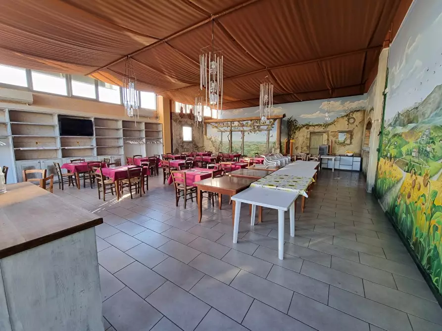 Immagine 11 di Locale commerciale in affitto  a Palaia