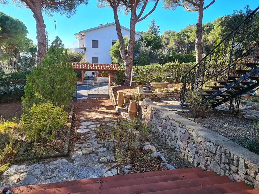 Immagine 13 di Villa in vendita  a Rosignano Marittimo