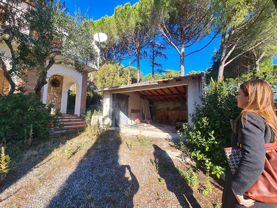 Immagine 9 di Villa in vendita  a Rosignano Marittimo