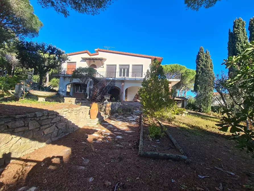 Immagine 12 di Villa in vendita  a Rosignano Marittimo
