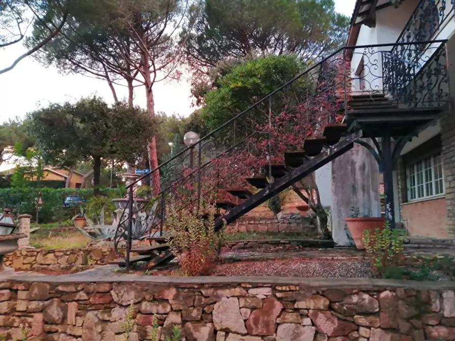 Immagine 7 di Villa in vendita  a Rosignano Marittimo