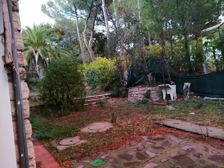 Immagine 6 di Villa in vendita  a Rosignano Marittimo