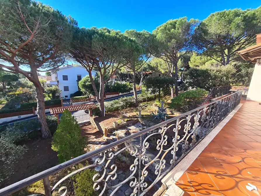 Immagine 19 di Villa in vendita  a Rosignano Marittimo