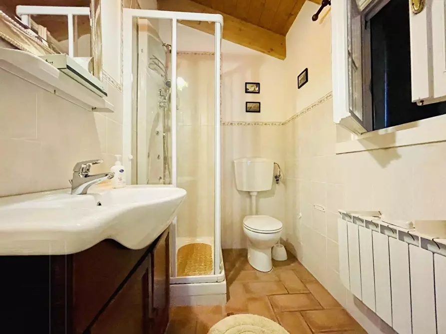 Immagine 50 di Villa in vendita  a Viareggio