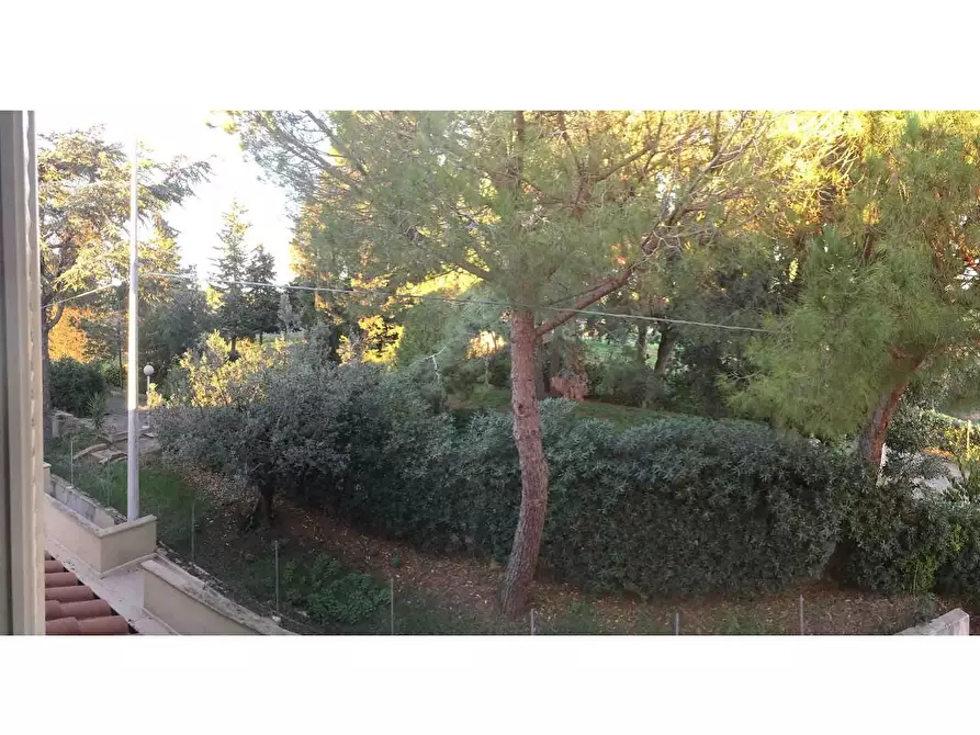 Immagine 5 di Villetta a schiera in vendita  a Rosignano Marittimo