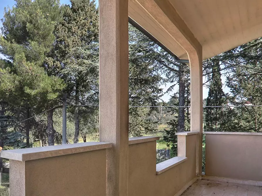 Immagine 7 di Appartamento in vendita  a Rosignano Marittimo