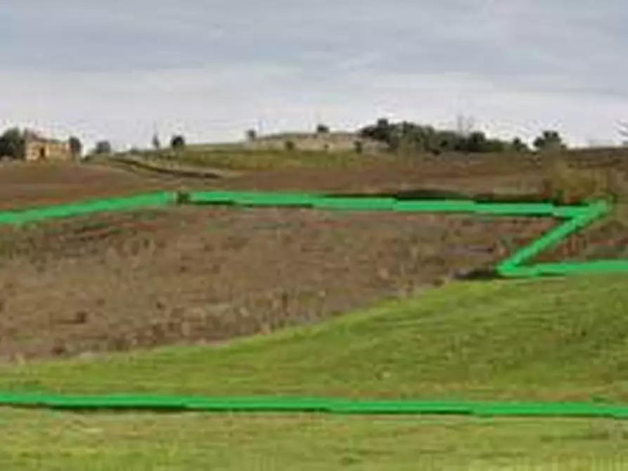 Immagine 2 di Terreno agricolo in vendita  a Vinci