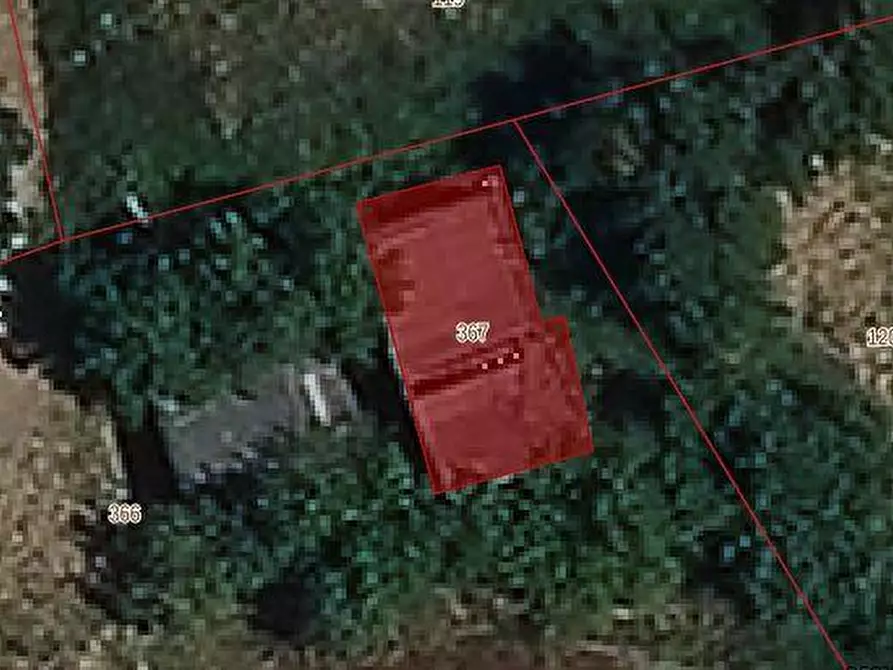 Immagine 3 di Terreno agricolo in vendita  a Vinci