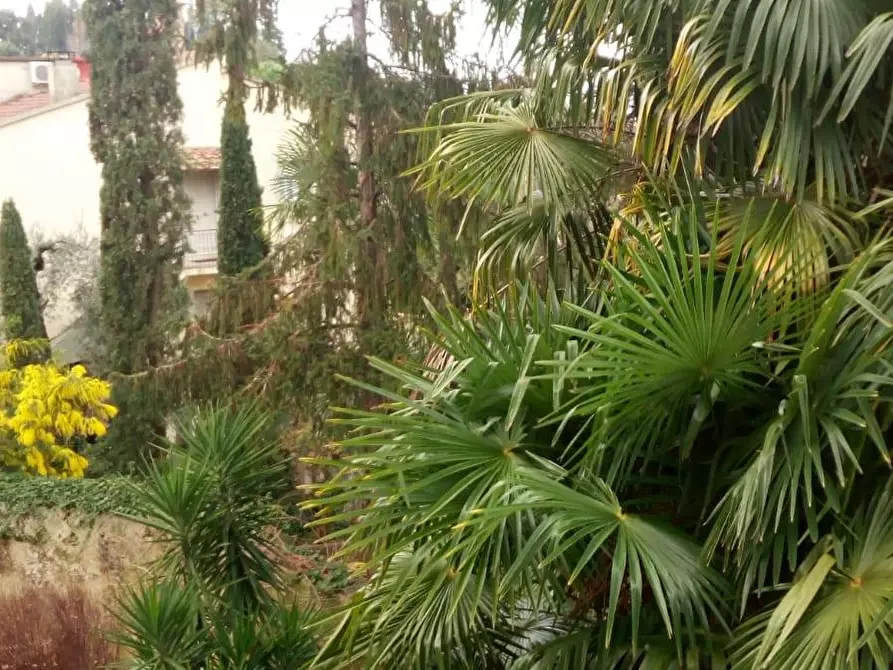 Immagine 18 di Appartamento in affitto  a Casciana Terme Lari