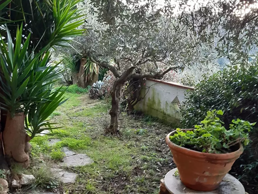 Immagine 22 di Casa quadrifamiliare in vendita  a Carrara