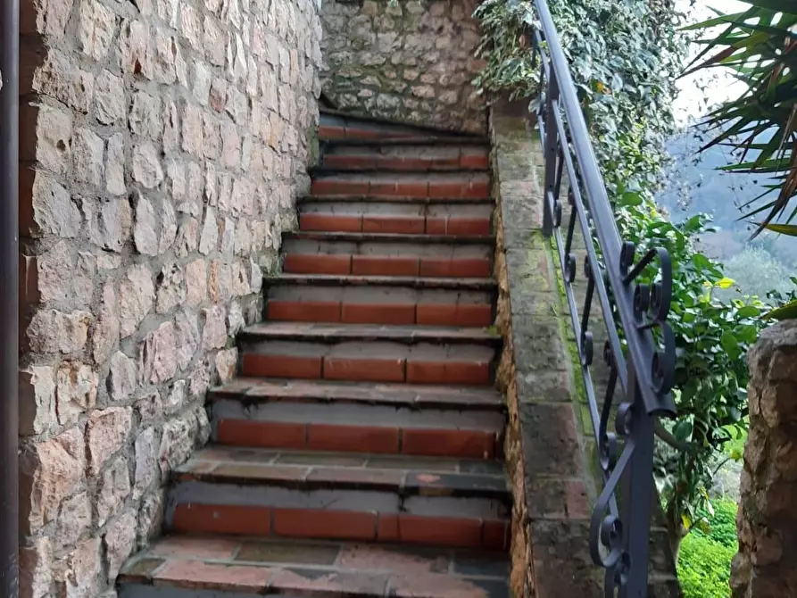 Immagine 21 di Casa quadrifamiliare in vendita  a Carrara