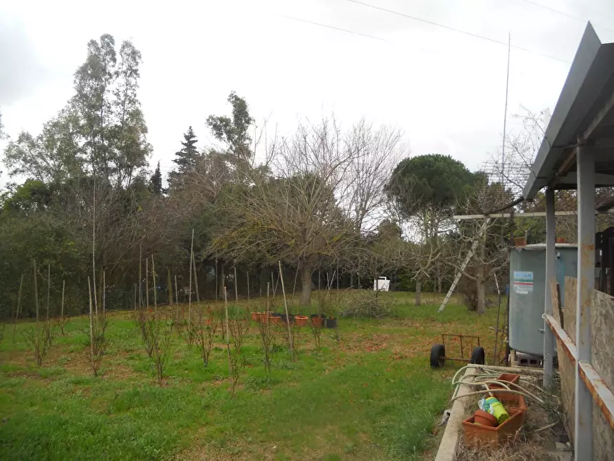 Immagine 3 di Terreno agricolo in vendita  a Livorno