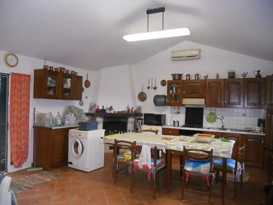 Immagine 8 di Terreno agricolo in vendita  a Livorno