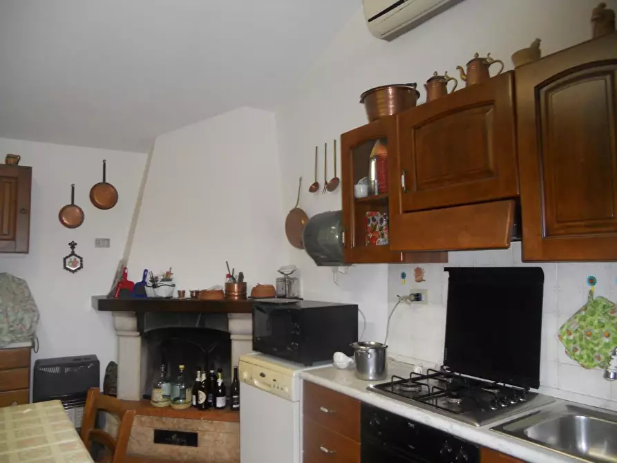 Immagine 7 di Terreno agricolo in vendita  a Livorno