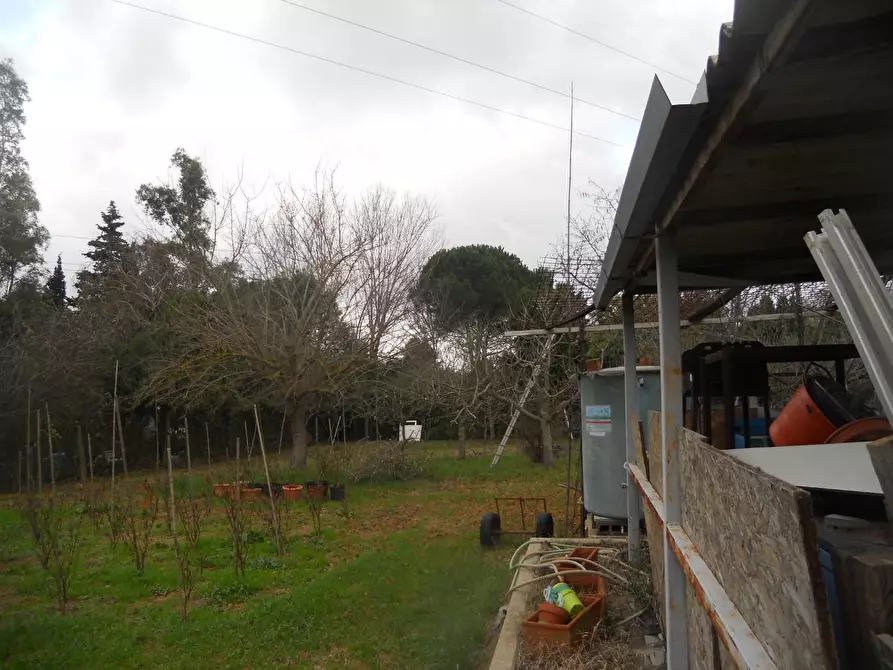Immagine 4 di Terreno agricolo in vendita  a Livorno