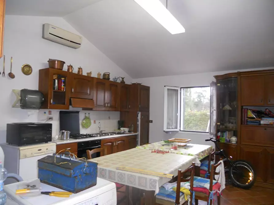 Immagine 16 di Terreno agricolo in vendita  a Livorno