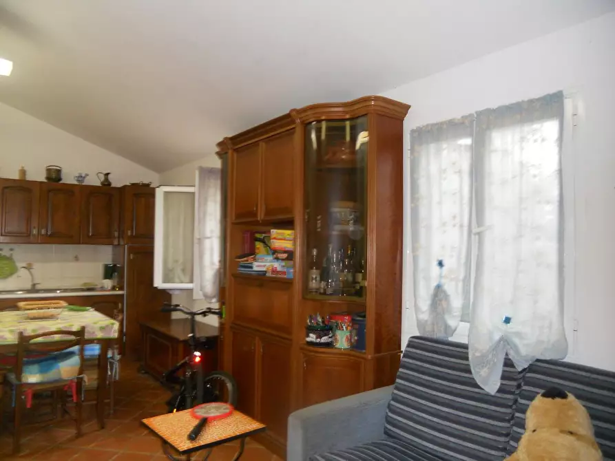 Immagine 10 di Terreno agricolo in vendita  a Livorno