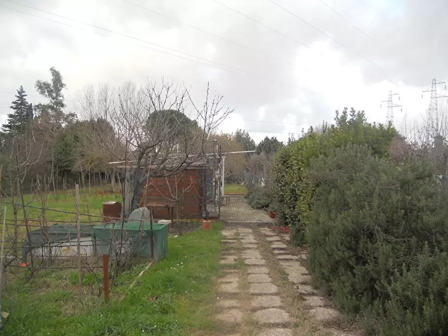 Immagine 2 di Terreno agricolo in vendita  a Livorno