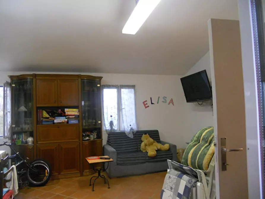 Immagine 14 di Terreno agricolo in vendita  a Livorno