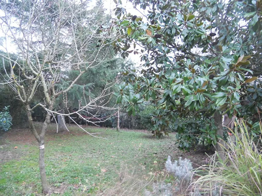 Immagine 6 di Terreno agricolo in vendita  a Livorno