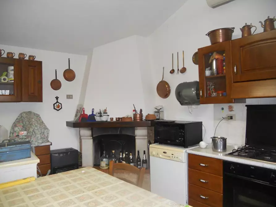 Immagine 13 di Terreno agricolo in vendita  a Livorno