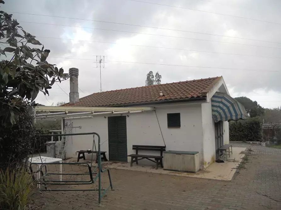 Immagine 18 di Terreno agricolo in vendita  a Livorno