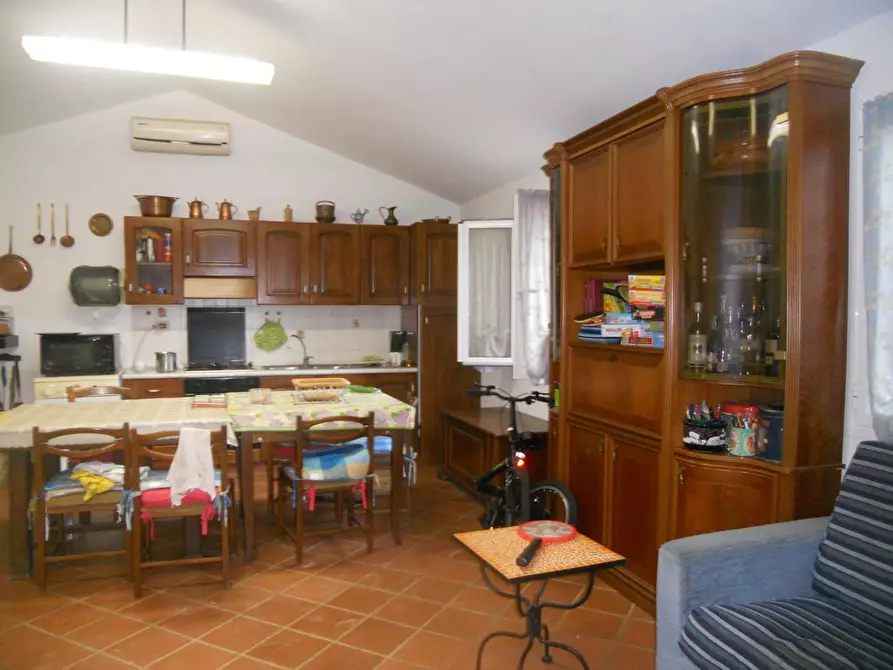 Immagine 9 di Terreno agricolo in vendita  a Livorno