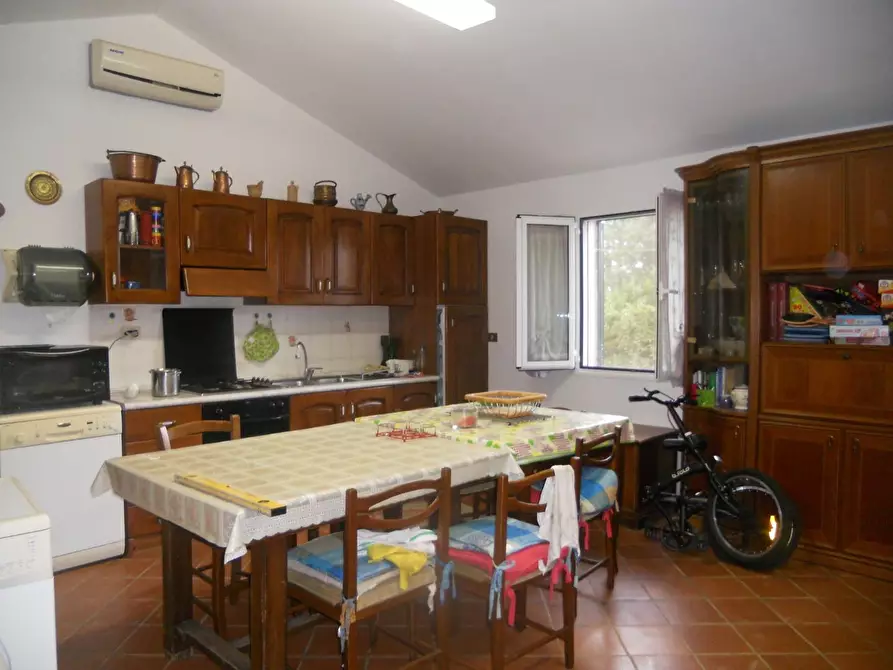 Immagine 11 di Terreno agricolo in vendita  a Livorno