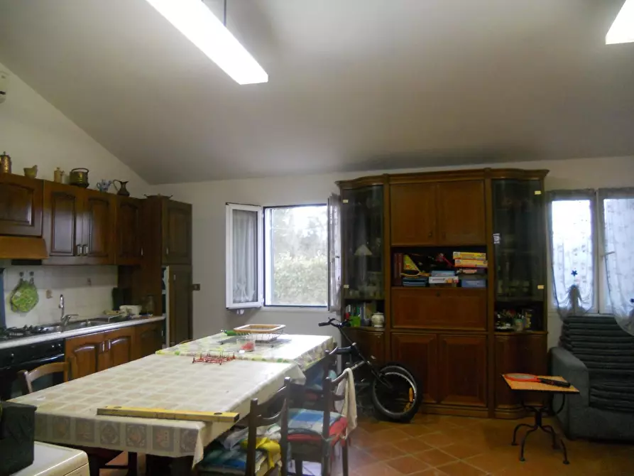 Immagine 15 di Terreno agricolo in vendita  a Livorno