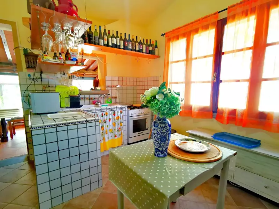 Immagine 42 di Rustico / casale in vendita  a Casciana Terme Lari