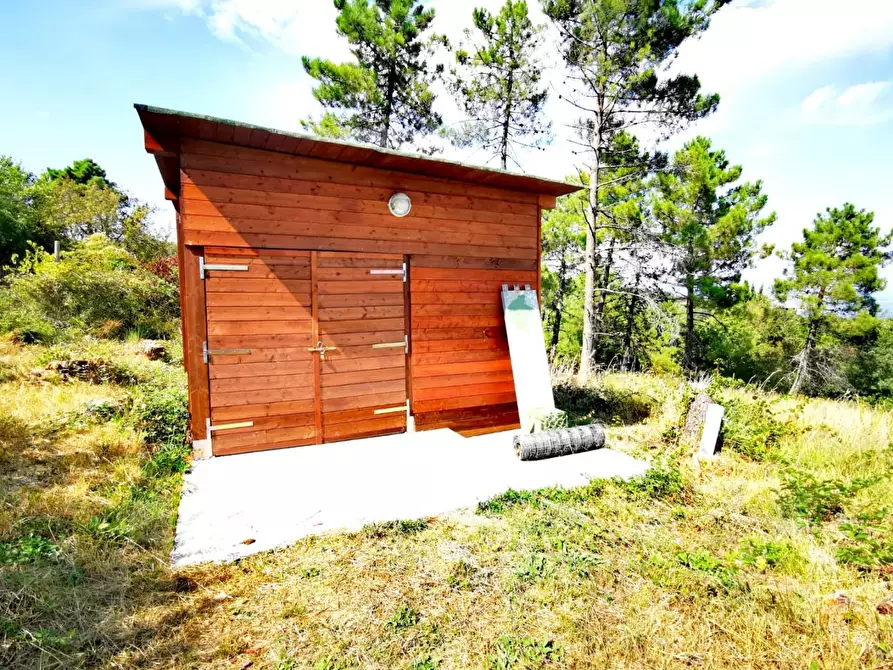 Immagine 26 di Rustico / casale in vendita  a Casciana Terme Lari