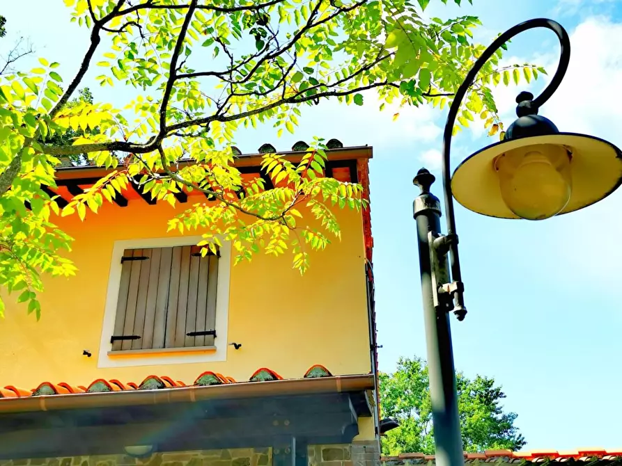 Immagine 4 di Rustico / casale in vendita  a Casciana Terme Lari