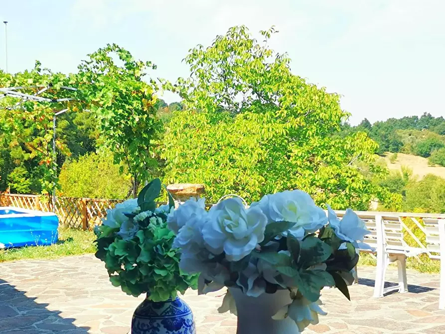 Immagine 18 di Rustico / casale in vendita  a Casciana Terme Lari