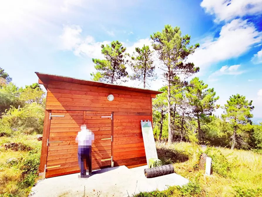 Immagine 36 di Rustico / casale in vendita  a Casciana Terme Lari