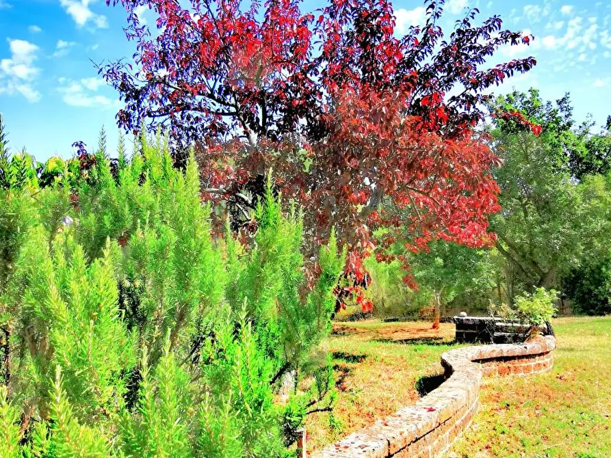 Immagine 31 di Rustico / casale in vendita  a Casciana Terme Lari