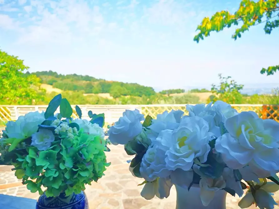 Immagine 40 di Rustico / casale in vendita  a Casciana Terme Lari