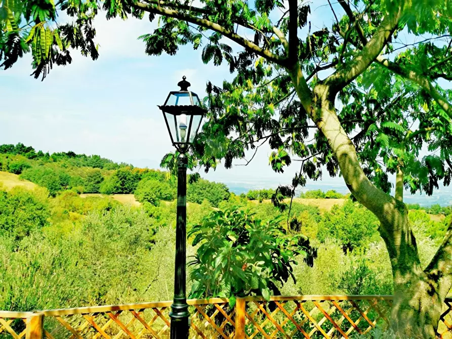 Immagine 29 di Rustico / casale in vendita  a Casciana Terme Lari