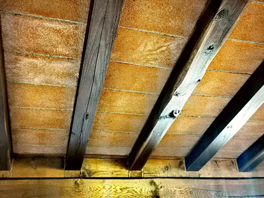 Immagine 24 di Rustico / casale in vendita  a Casciana Terme Lari